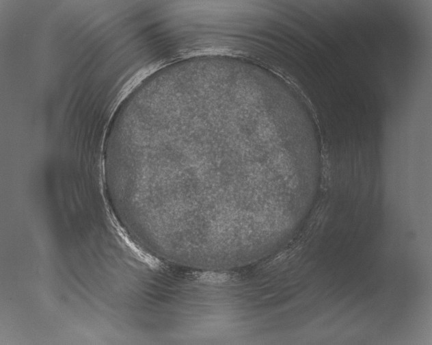 X0000076300890200610201543