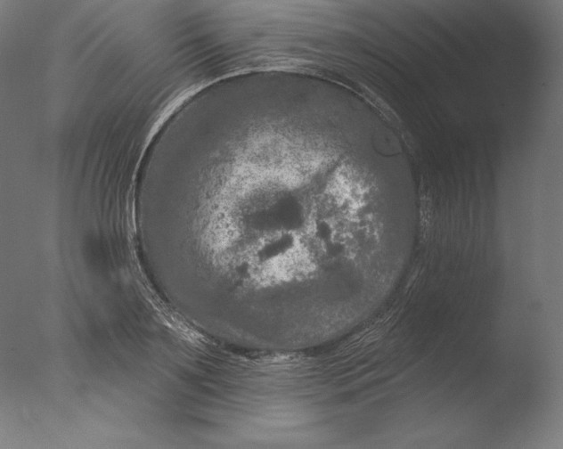 X0000076300891200610201543