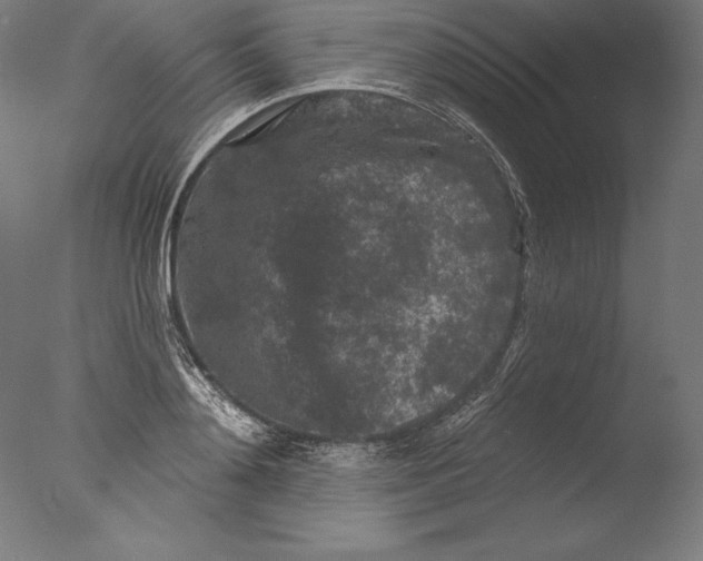 X0000076300892200610201543