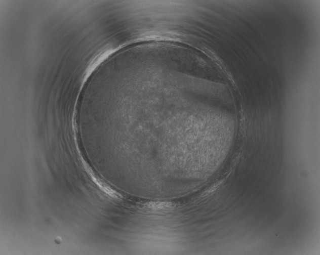 X0000076300893200610201543