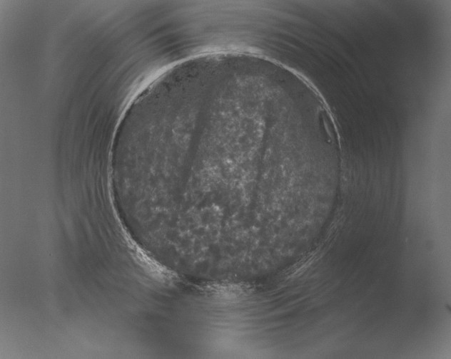 X0000076300895200610201543