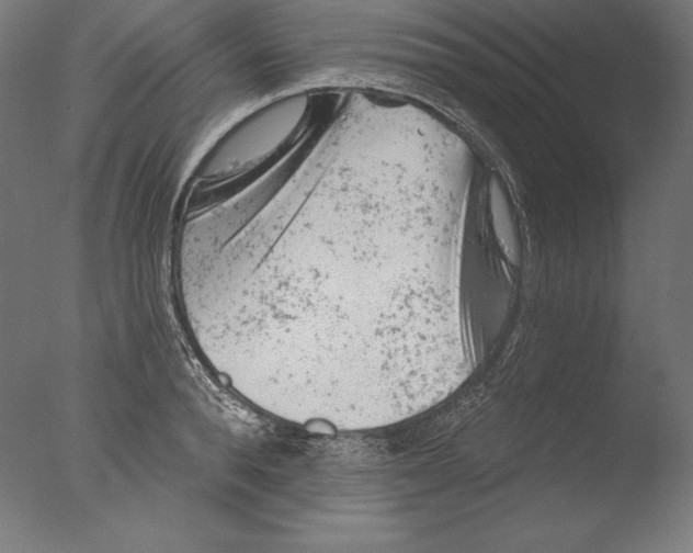 X0000076300896200610201543