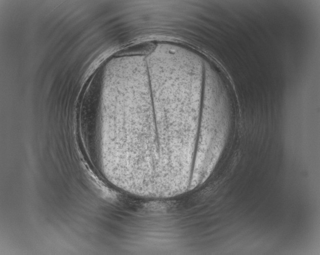 X0000076300898200610201543