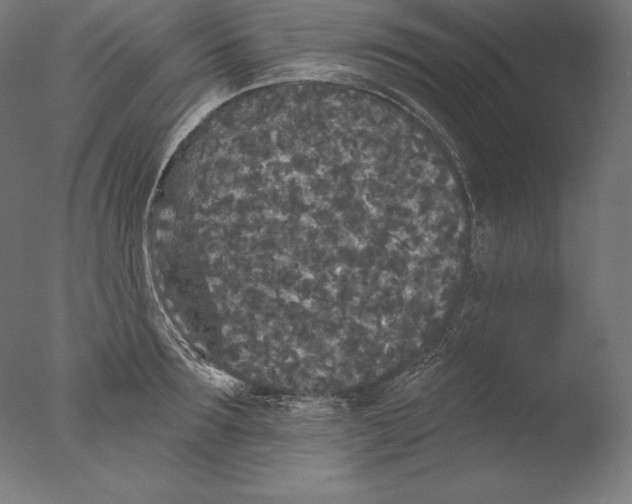 X0000076300899200610201543