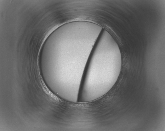 X0000076300900200610201543