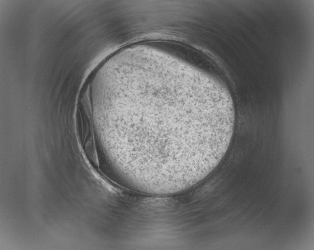 X0000076300902200610201543