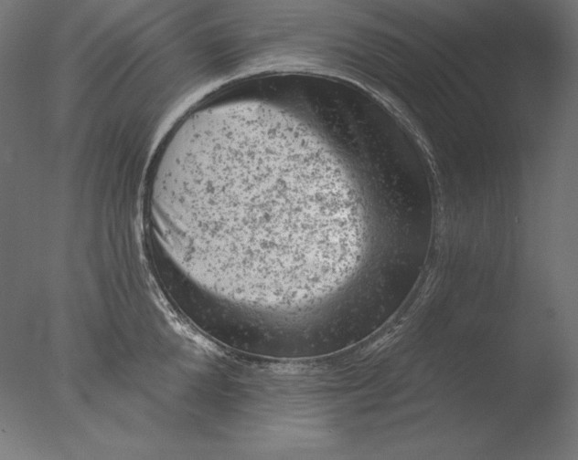 X0000076300904200610201543