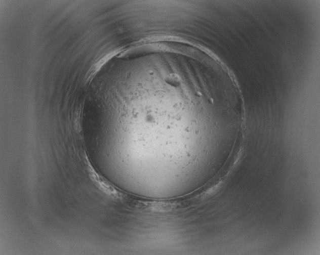 X0000076300905200610201543