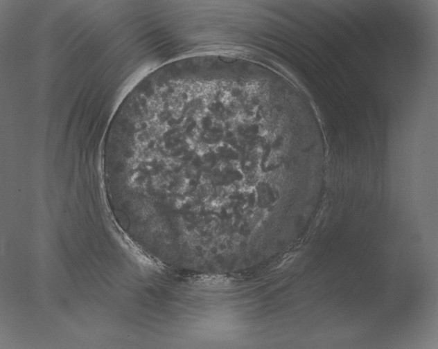 X0000076300907200610201543