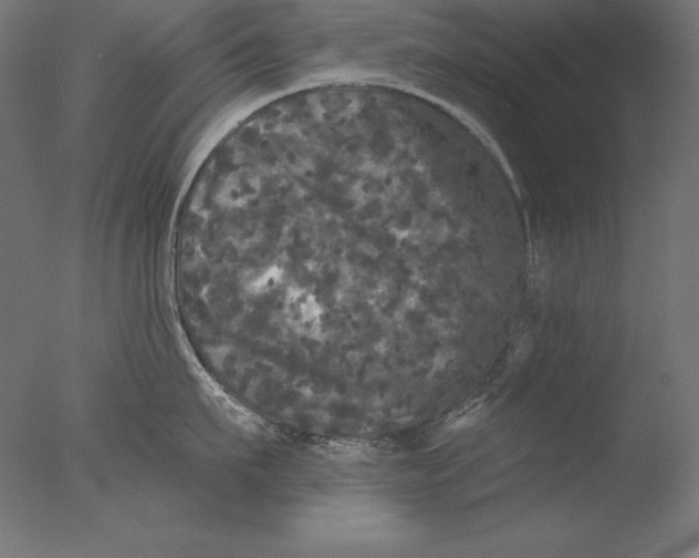 X0000076300911200610201543