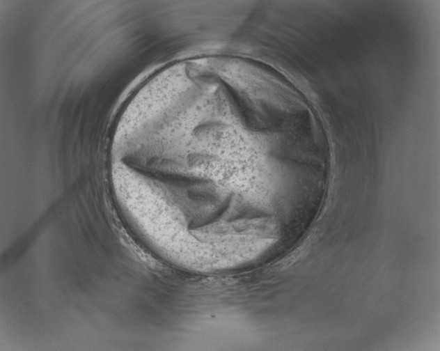 X0000076300912200610201543