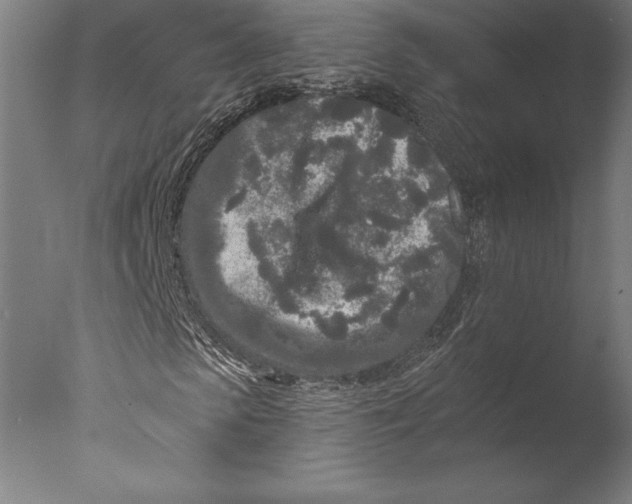 X0000076300913200610201542