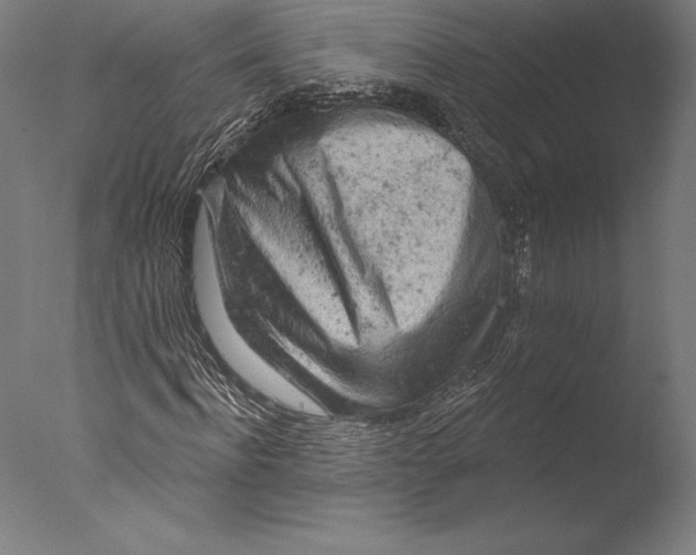 X0000076300916200610201542