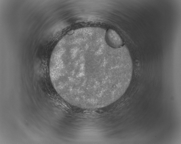 X0000076300918200610201542