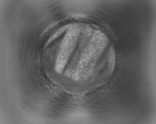 X0000076300919200610201542