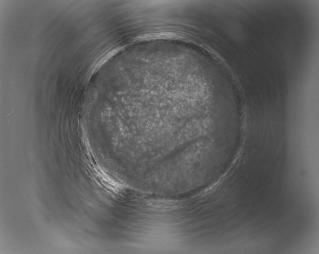 X0000076300921200610201542