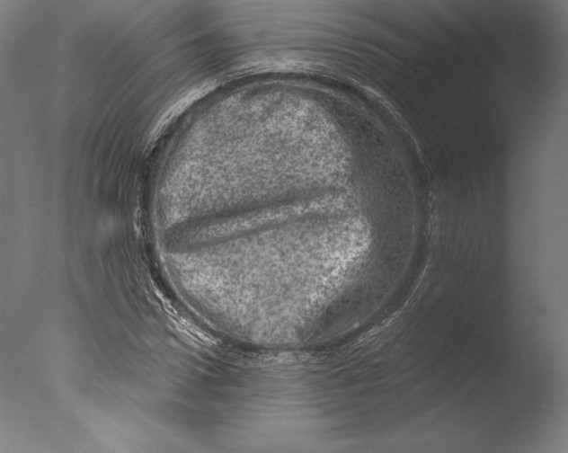 X0000076300922200610201542