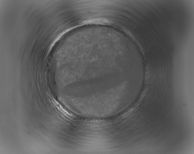 X0000076300923200610201542