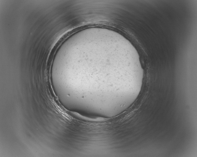 X0000076300924200610201542