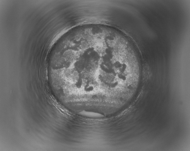 X0000076300925200610201543