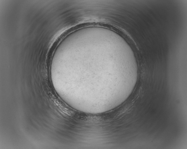 X0000076300927200610201543