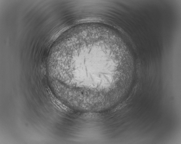 X0000076300929200610201543