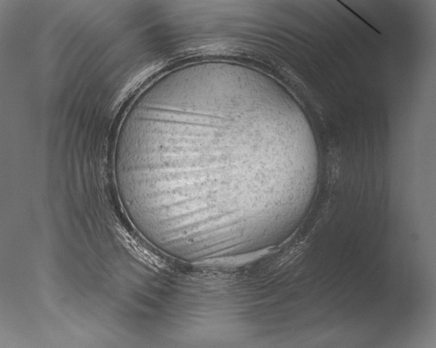 X0000076300930200610201543