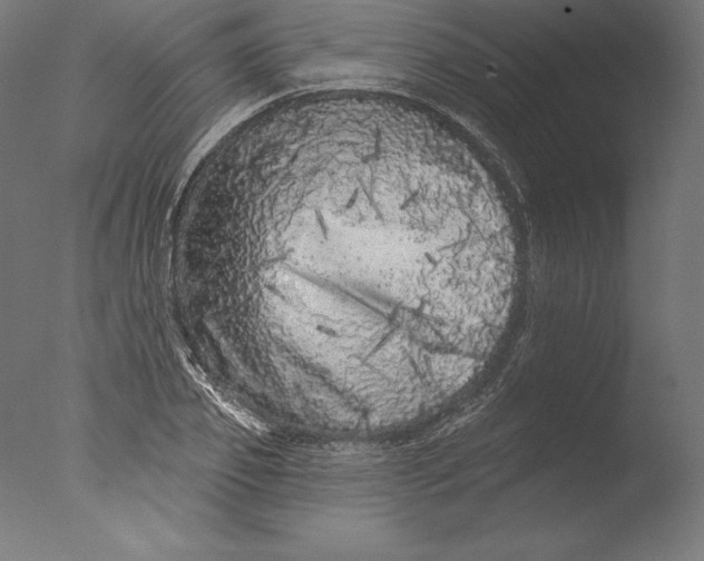 X0000076300933200610201543