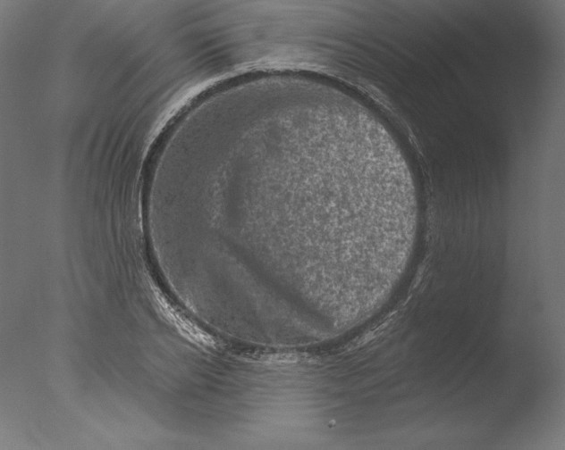 X0000076300934200610201543