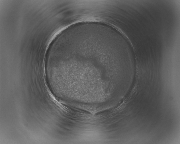 X0000076300935200610201543