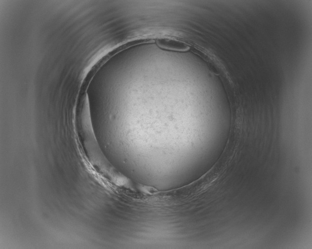 X0000076300936200610201543