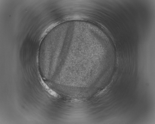 X0000076300938200610201543