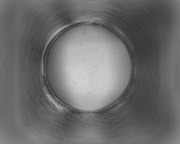 X0000076300940200610201543