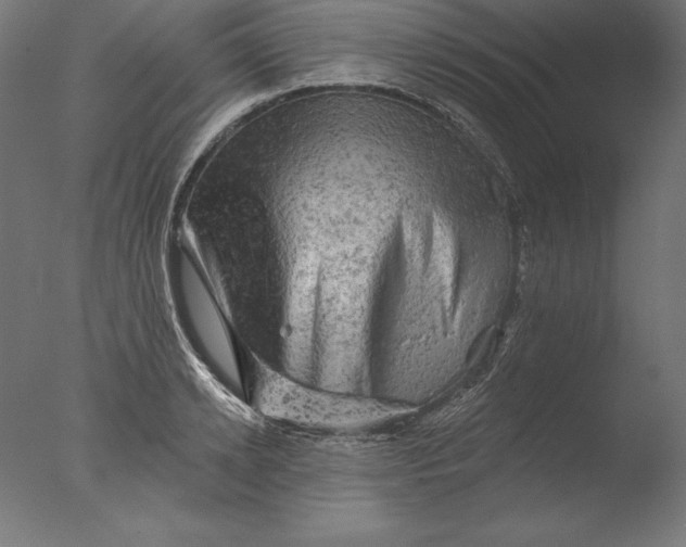 X0000076300942200610201543