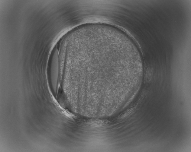 X0000076300943200610201543