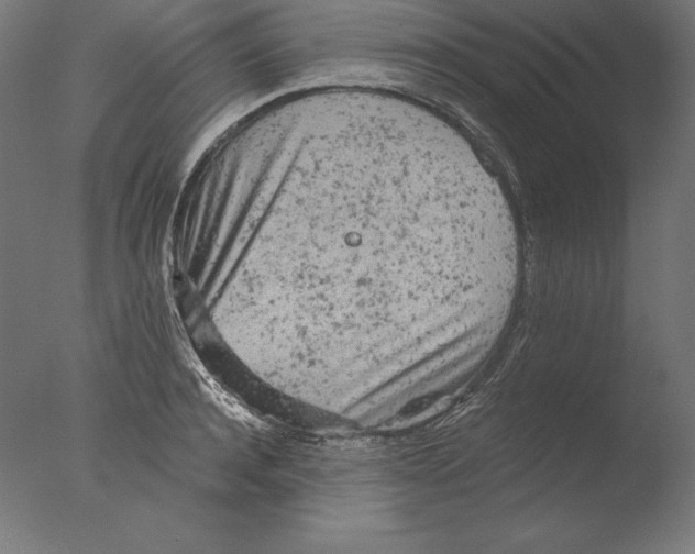 X0000076300944200610201543