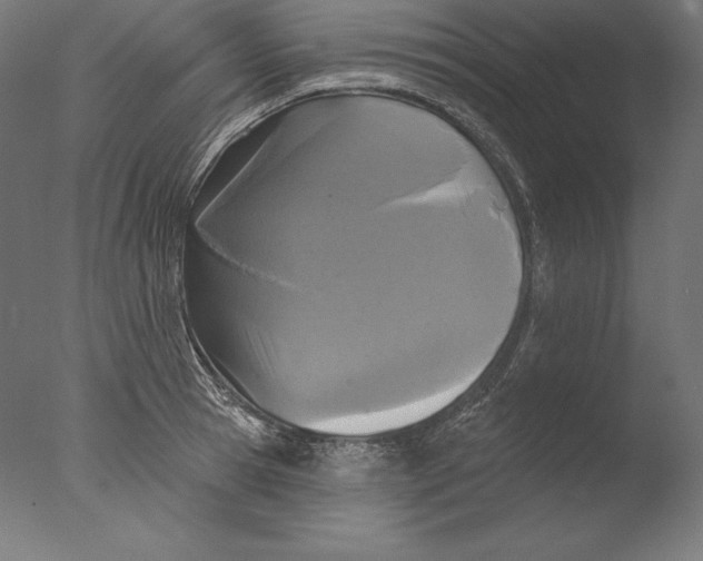 X0000076300945200610201543