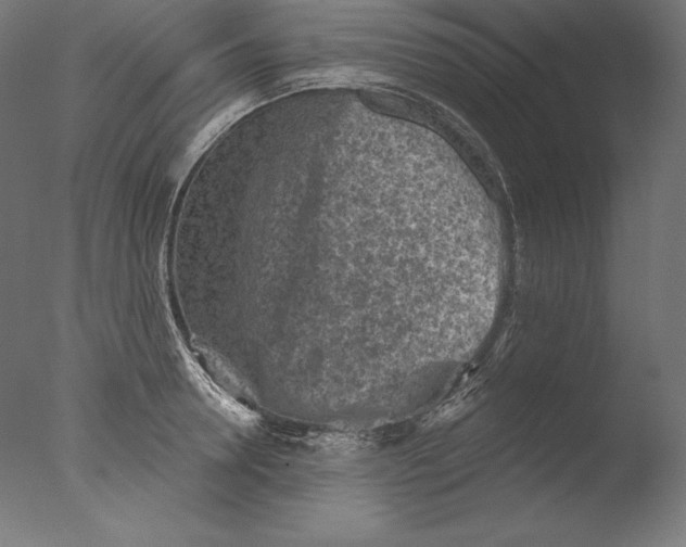 X0000076300946200610201543