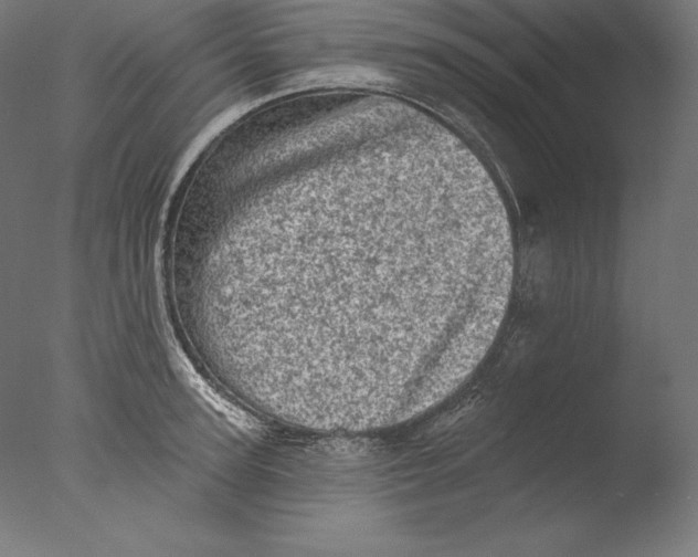 X0000076300947200610201543