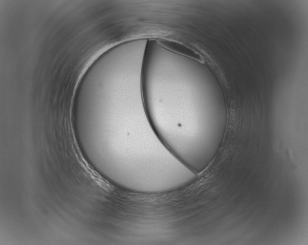 X0000076300948200610201543