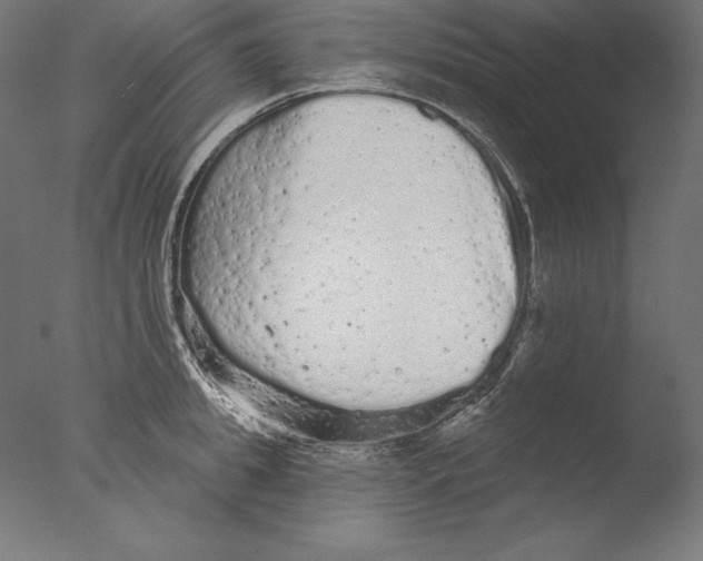 X0000076300949200610201543