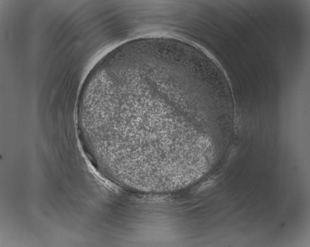 X0000076300951200610201543