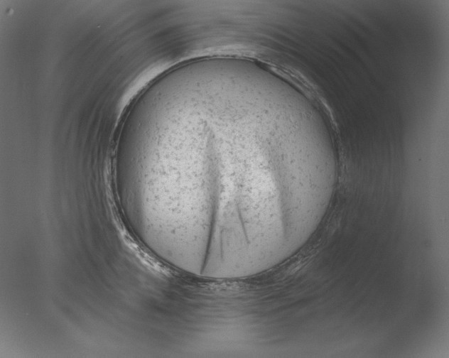 X0000076300952200610201543