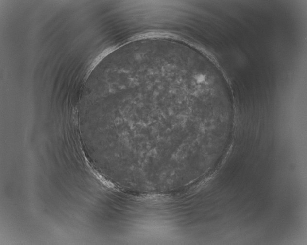 X0000076300953200610201543