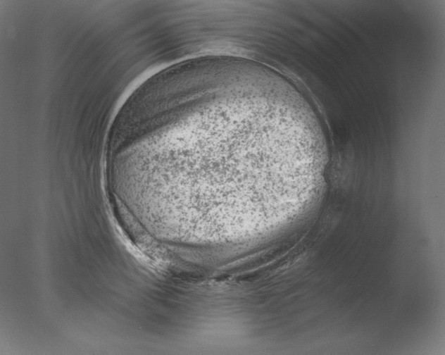 X0000076300955200610201543