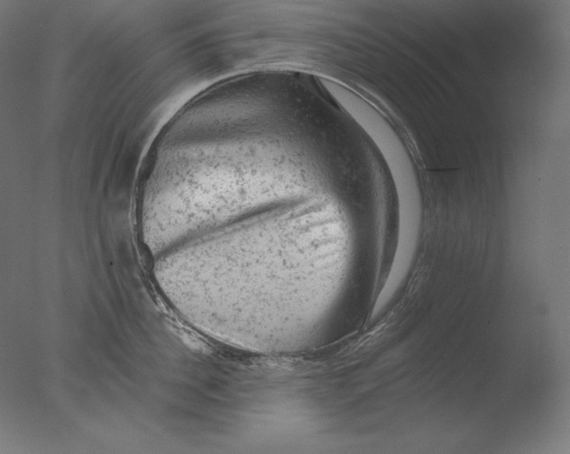 X0000076300956200610201543