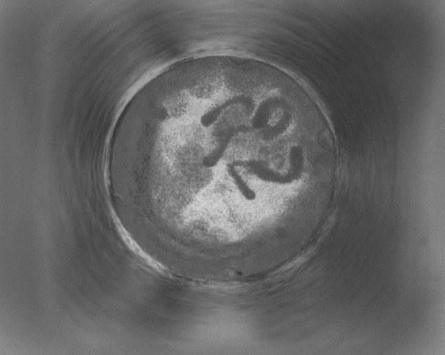 X0000076300957200610201543