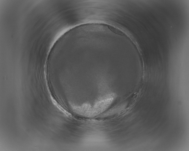 X0000076300958200610201543