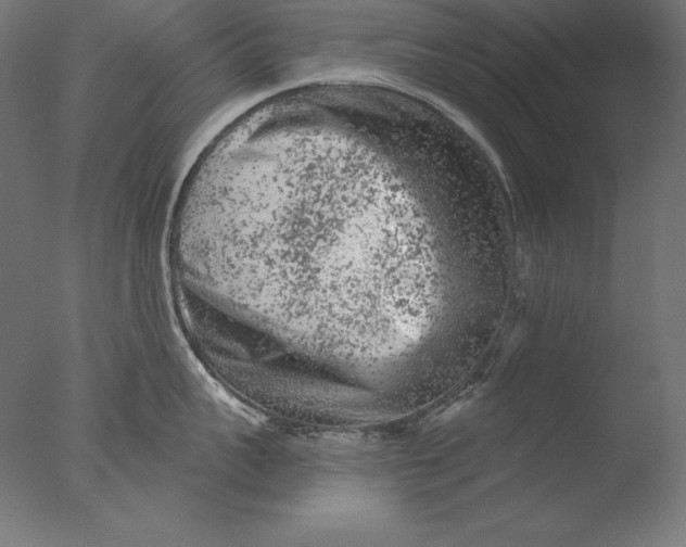 X0000076300959200610201543