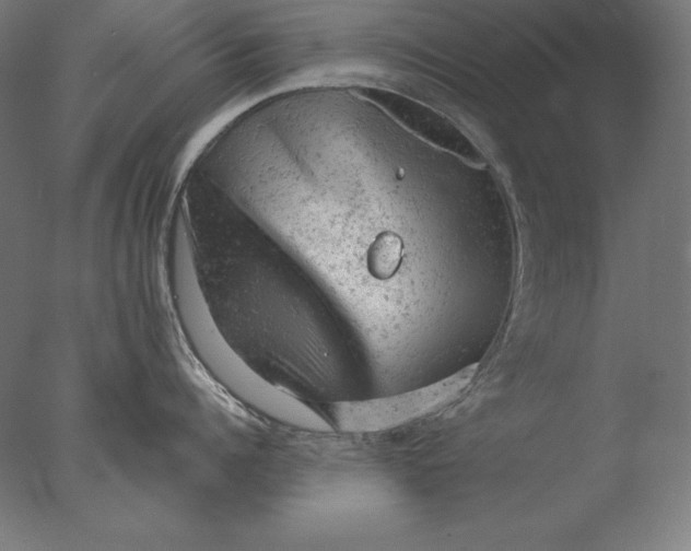 X0000076300960200610201543